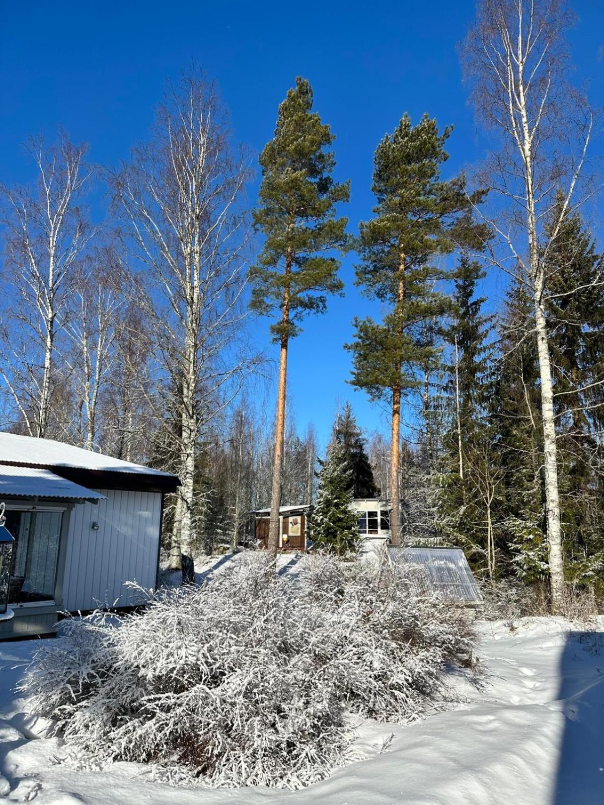Cottage Viardo Vehkataipale Pokoj fotografie